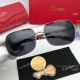 Cartier Double Bridge Titanium Sunglasses - Exact Replica (10)_th.jpg